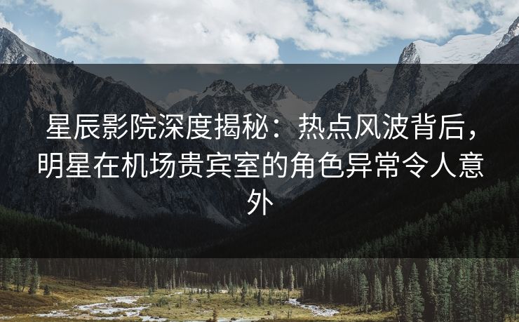 星辰影院深度揭秘：热点风波背后，明星在机场贵宾室的角色异常令人意外