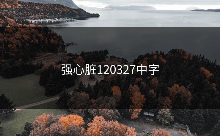 强心脏120327中字 强心脏120327中字