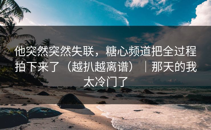 他突然突然失联，糖心频道把全过程拍下来了（越扒越离谱）｜那天的我太冷门了